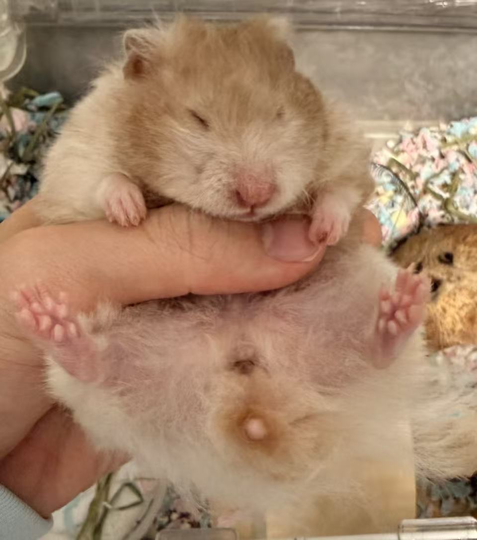 吴蛋蛋照片2